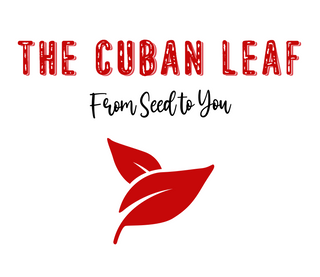 the-cuban-leaf logo