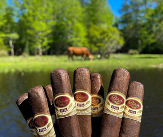 Padron 1926 Series No. 35 Maduro