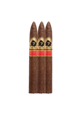 El Septimo Sacred Arts Collection Rembrandt