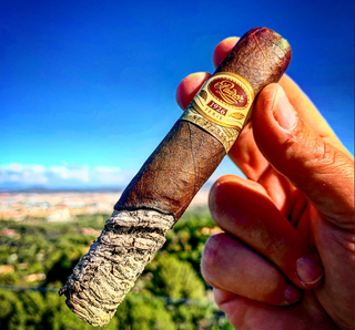 Padron 1926 Series No. 9 Maduro