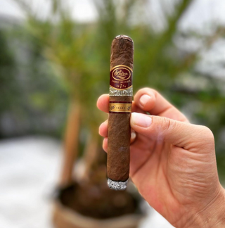 Padron 1926 Series Family Reserve 46 Years Maduro